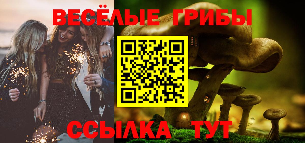 Псилоцибиновые грибы ЛСД Родники
