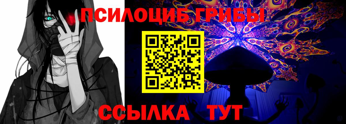 Псилоцибиновые грибы мицелий  Вход с VPN  Родники 
